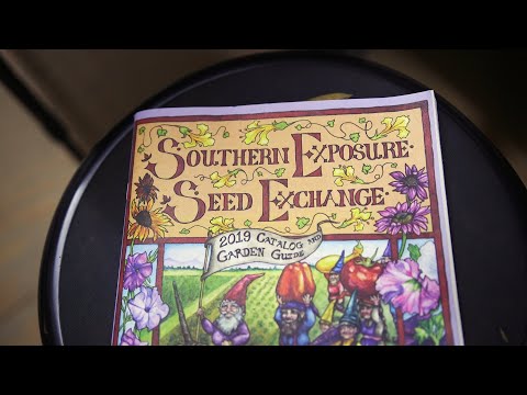 download lagu mp3 mp4 Southern Exchange Seeds, download lagu Southern Exchange Seeds gratis, unduh video klip Southern Exchange Seeds