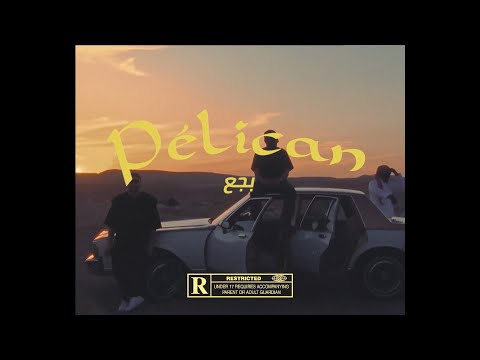 [FREE] Vacra ✘ L2B Type Beat - "Pélican"🦤 ( بجع)