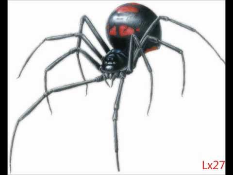 Мс Лина - Черная вдова / MC Lina - Black Widow