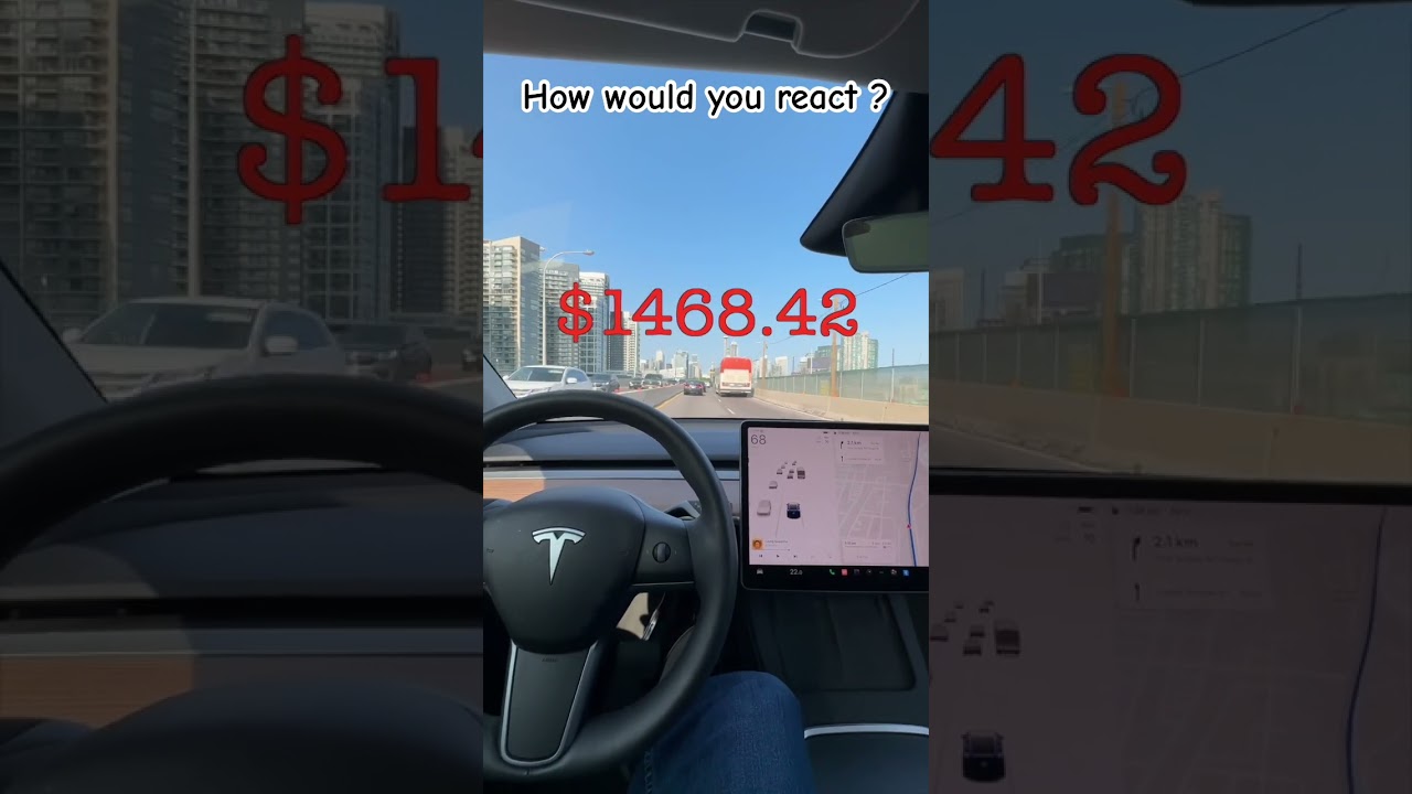 Tesla Prank Call