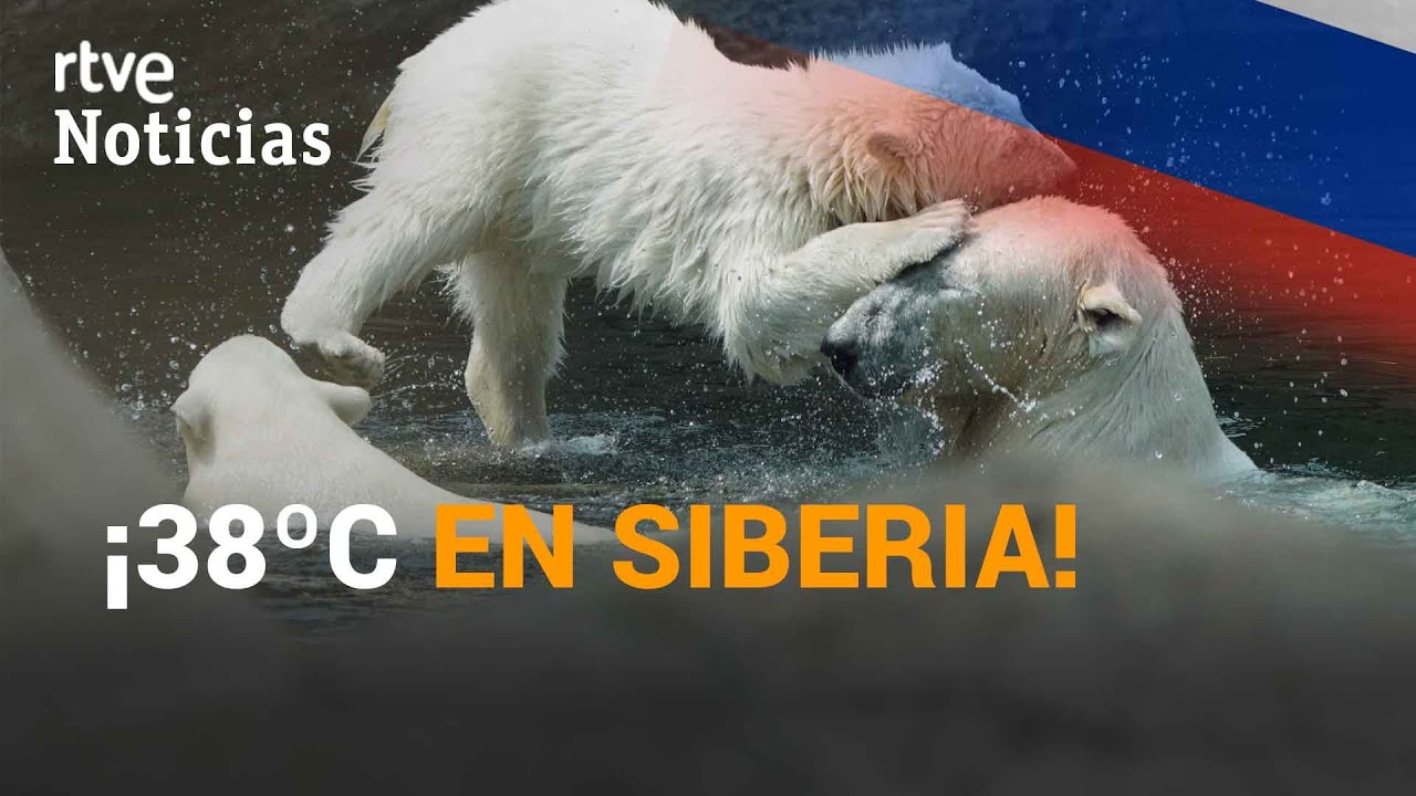 youtube video id=5PJ7lQE0vHY