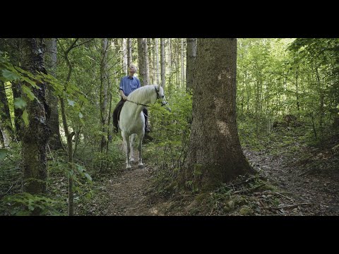 But Beautiful – Erwin Thoma