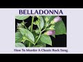 Dreams (Cover version. Live) - Belladonna