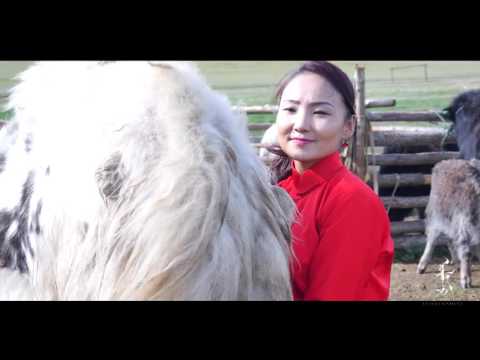 Orchlond gantshan eejdee - A.Anhbayar MUSTA