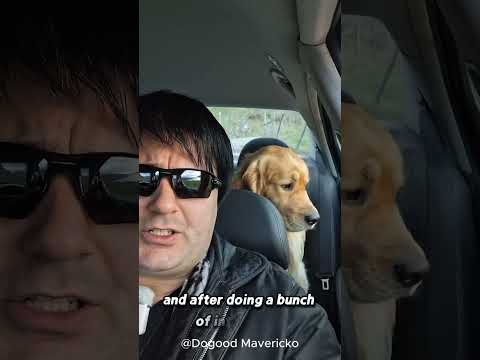 Dogood Mavericko video — The Terrific Trifecta!