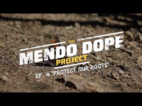 THE "MENDO DOPE" PROJECT - EP 4 (PROTECT OUR ROOTS)
