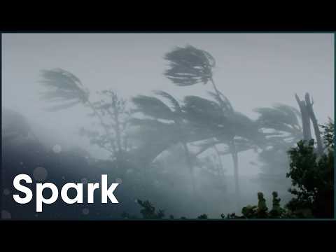 The Disaster Diaries: Why Are Natural Disasters Becoming More Intense?