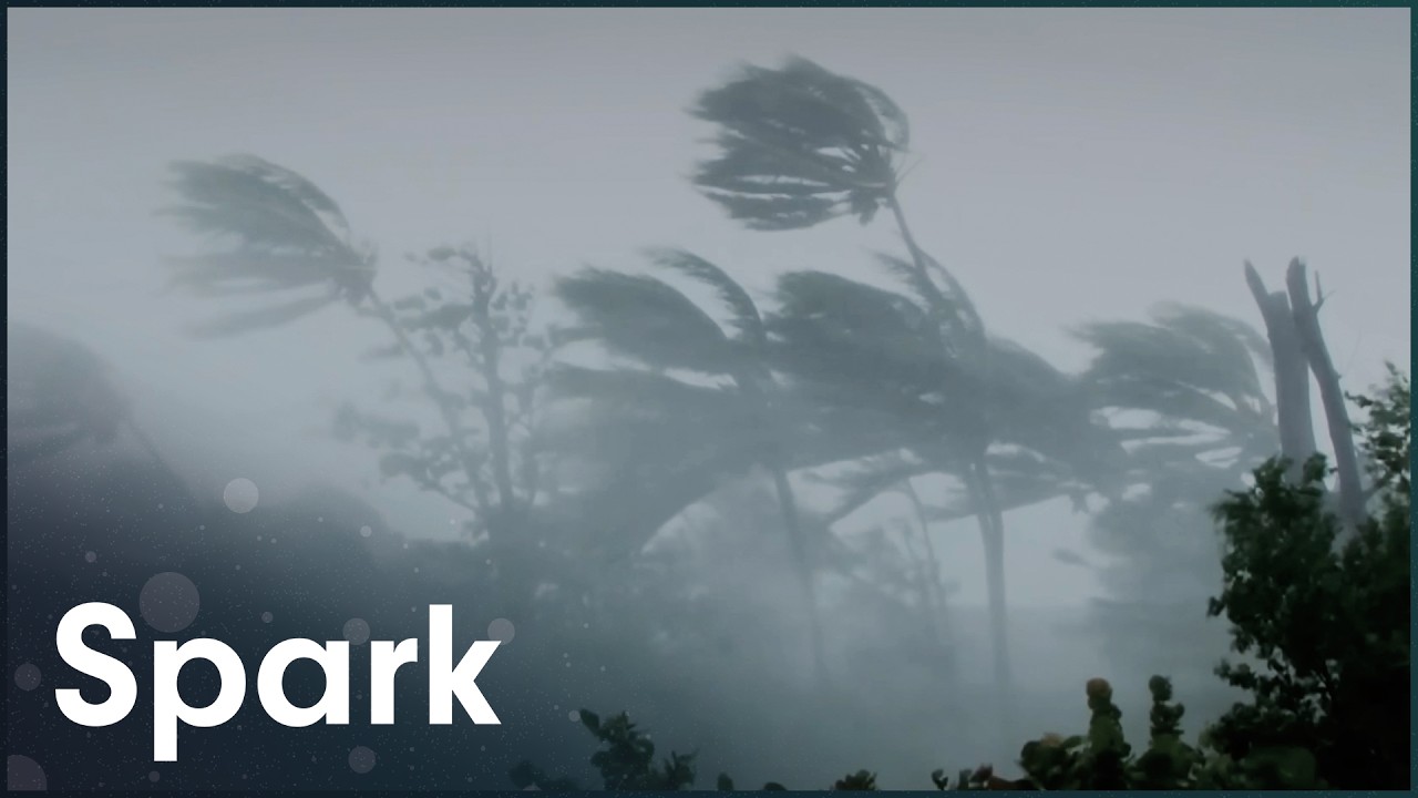 The Disaster Diaries: Why Are Natural Disasters Becoming More Intense?