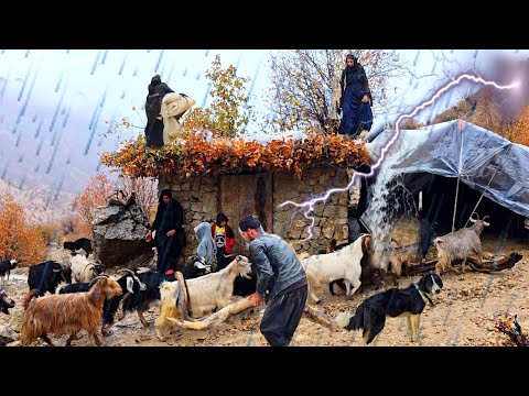 Saving Livestock in Heavy Rain and Storm | Nomadic Life in the Mountains 🌧️⛈️🐑🏔️🔥