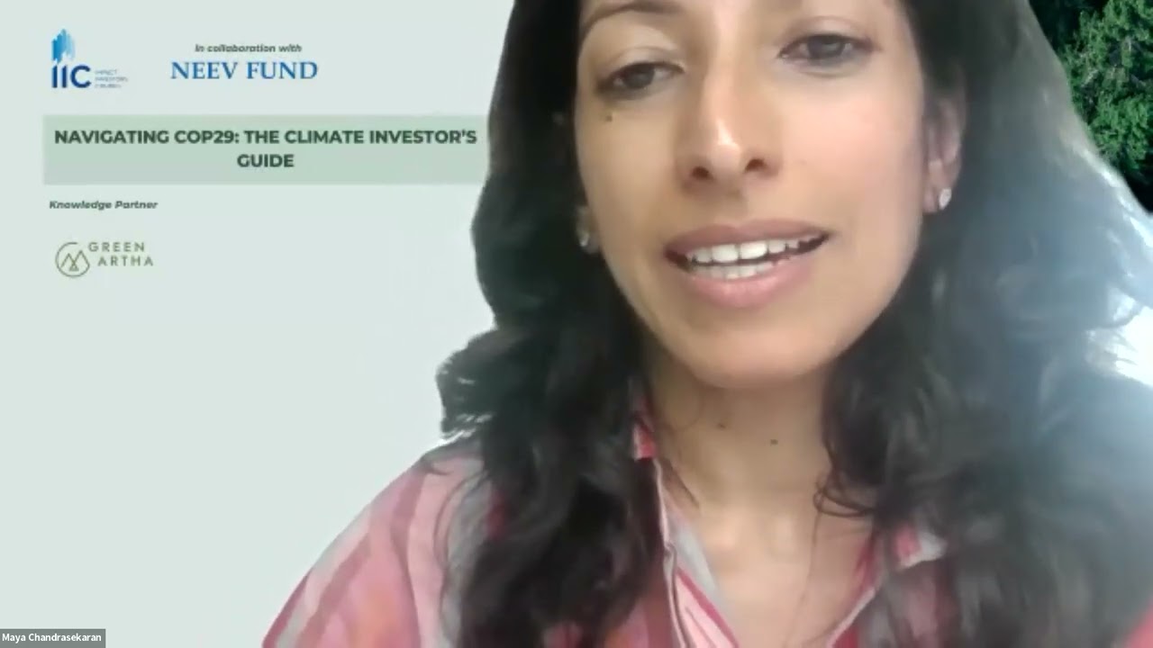 Navigating COP29: The Climate Investor's Guide