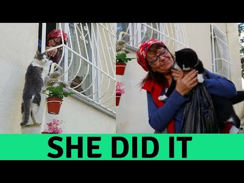 THE WAY THIS WOMEN RESCUE THESE CATS IS AMAZING!! CAT ADOPTION IN A GENTEL WAY 😍