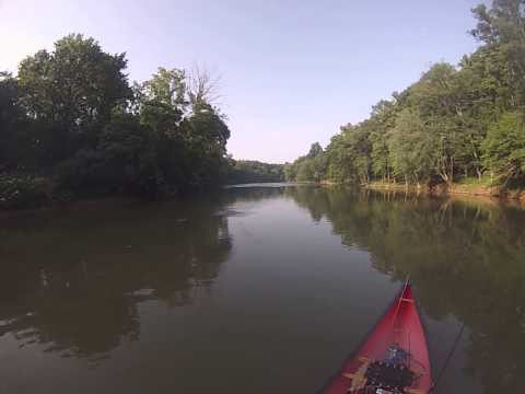 Striper Fishing with the Zara Spook