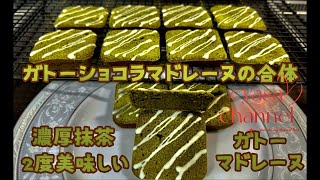 簡単混ぜるだけ!濃厚抹茶ガトーマドレーヌレシピ㊽