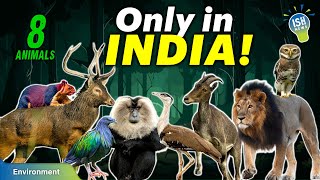 8 Animal Species That Are Found Only in India!