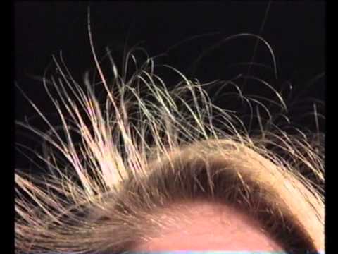 Sci Eye Static Electricity S096LS46 S120LS46