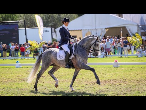 Nilo TVF at the International Lusitano Festival 2021