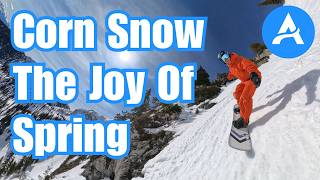 Timing is everything: Finding corn snow in a melt freeze cycle