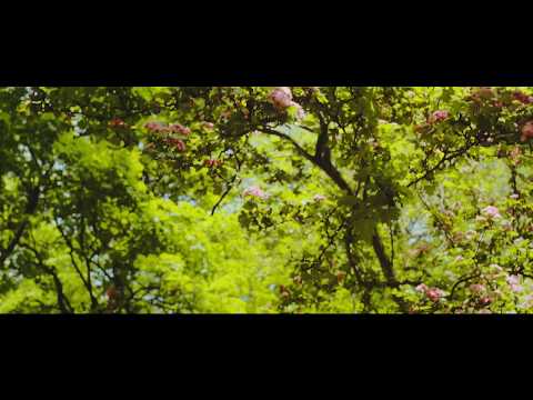 HMD - Baranoid ft. Sleazy F Baby