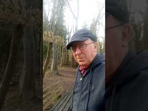 spatzierengang an der amper