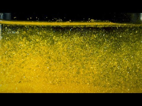 Experiment | Turning Lead into Gold Lead| Exploratorium