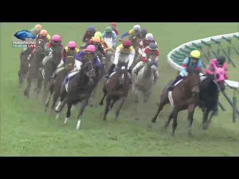 2017.03.26 Takamatsunomiya Kinen (JPN) - Seiun Kosei