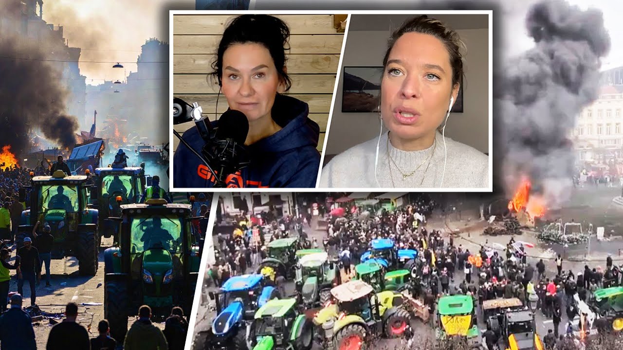 European farmers revolt over cattle cull order