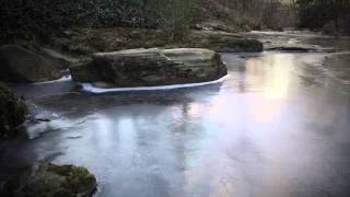 Snow Dance - Gary Peacock - Cover by Bassist Bryan White