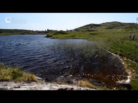 CC S04E38 TRAVEL & CAMPSITE - Ireland