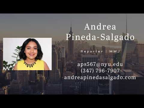 Andrea Pineda-Salgado Reporter Reel 2021
