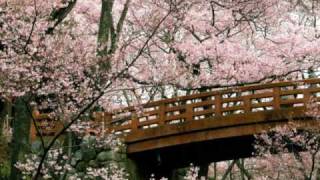 Throw It Away Cover (Delta Goodrem)