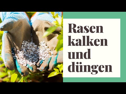 Liming and fertilizing your lawn: What you need to consider