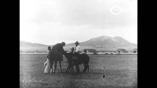 The Montana State Fair