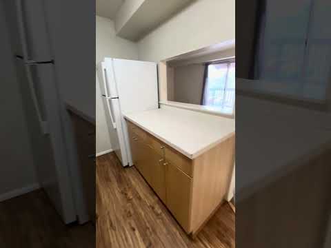 gar3005 - Video 2 of 2