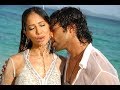 Yagam Navdeep Bhumika Chawla Kim Sharma Telugu Movie Tollywood
