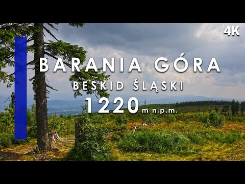Barania Góra, Wisła Czarne, źródła Wisły - niebieski szlak, Kaskady Rodła, Biała Wisełka.
