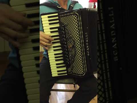 Miroslav Navračić - Sous le ciel de Paris