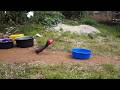 OMUDDU WA LUBAALE 1 2 ALL PARTS LATEST MOVIE TRANSLATED BY VJ