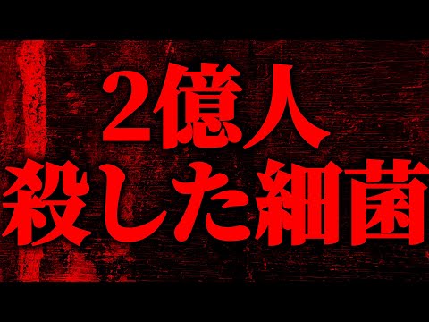 ペストビエールについて詳しく解説