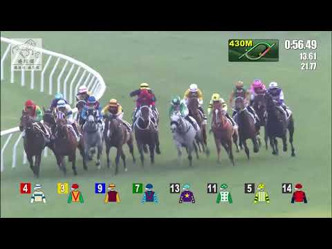 港經佬賽事重溫｜18-12-2021 田草日馬第八場賽事重溫 (268)｜樂滿貫 Ima Single Man (D476)｜潘明輝 M F Poon｜告東尼 A S Cruz｜免費心水及賽馬貼士