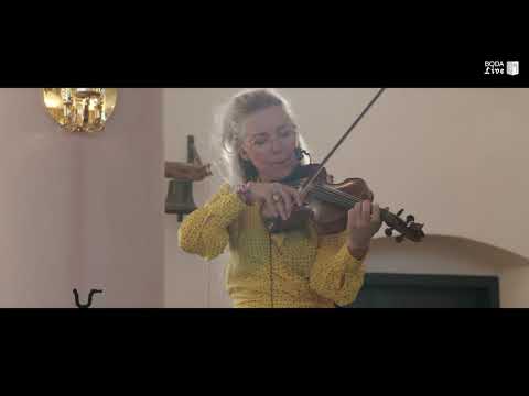 New Tide Orquesta - Gold (Amy Silver 67 years old) - Boda Live 2021