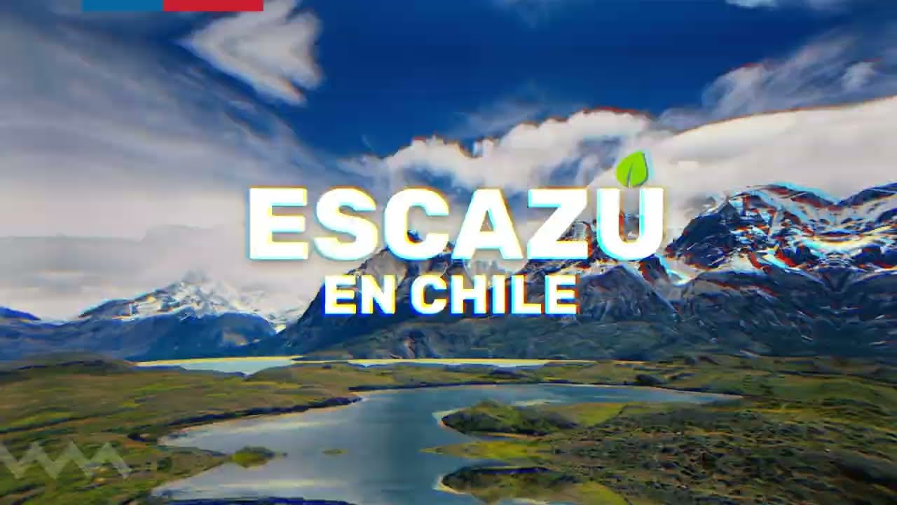¿Sabes qué es el Acuerdo de Escazú?