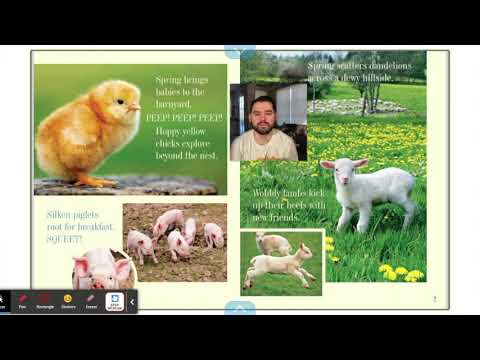 Everything Spring Read Aloud