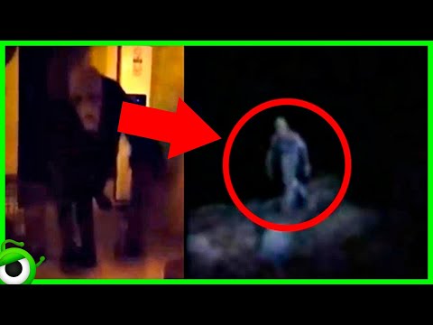 10 Criaturas Aterradoras Que Han Sido Captadas En Cámara 2021