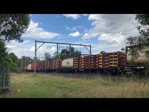 20221115_1403 5MB4 Gonarro