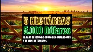 PASÓ EL SEGUNDO GRUPO Y COMPRÓ MÁS CHACRAS ,SE VIENE EL TERCERO! UNA CHANCE PARA SALIR DE LAS URBES