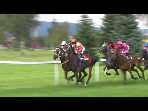 KV, 23. 8. 2020 - 4. dostih - 41. Cena Masise / Pohár Statku Blata Český Ráj (I, 1200m, dvouletí)