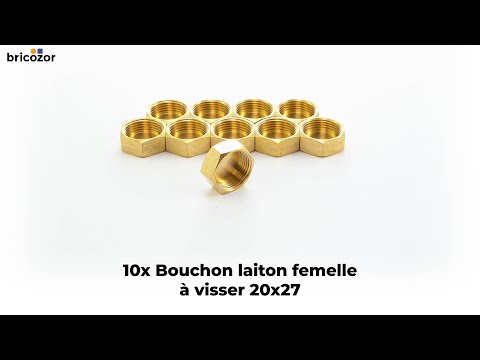 Bouchon laiton femelle à visser - sachet de 10 BRICOZOR