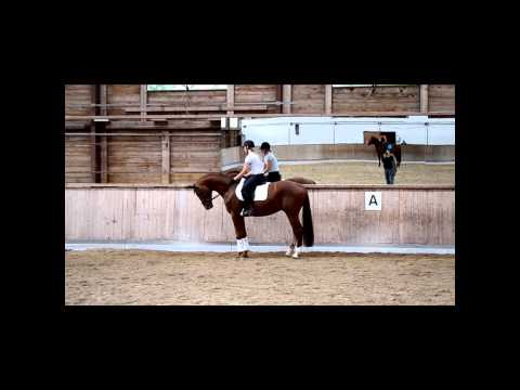 Strahlemann von Soliman de Hus/Weltmeyer/Regazzoni