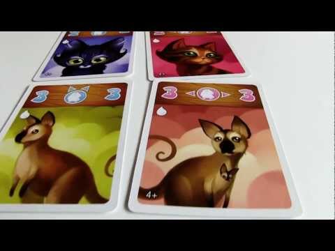 Open The Box TV - Noah