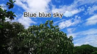Download lagu Blue-blue-sky by The beatles (lyrics video) mp3